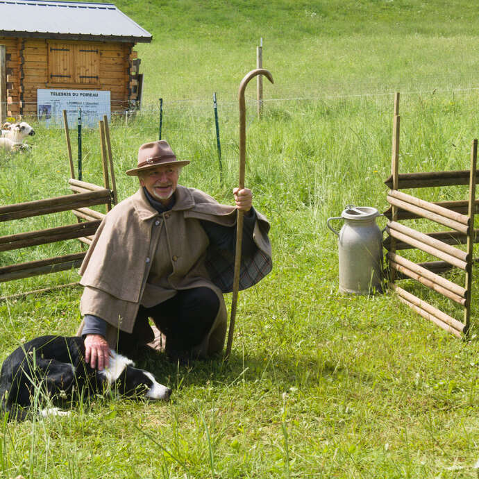 Show "THE SHEPHERD AND THE FLOCK