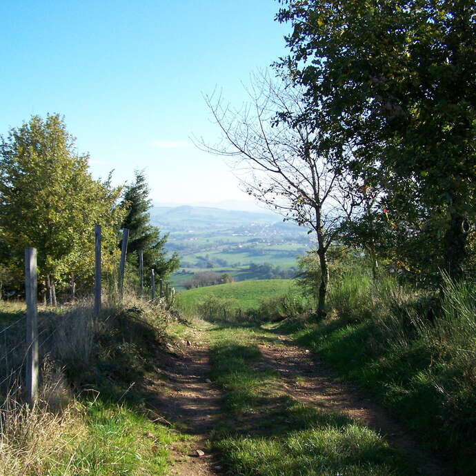 Circuit de Passinge