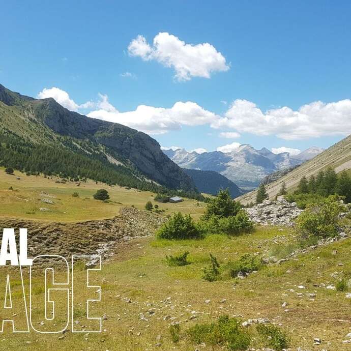 Festival de l'Alpage : Randonnée en alpage au Col du Noyer