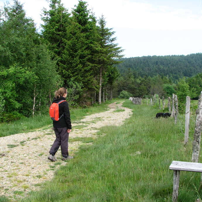Circuit des Deux Boules