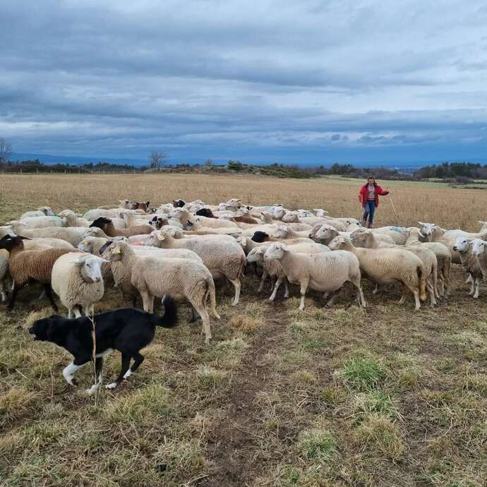 Galinette & Co - De ferme en ferme