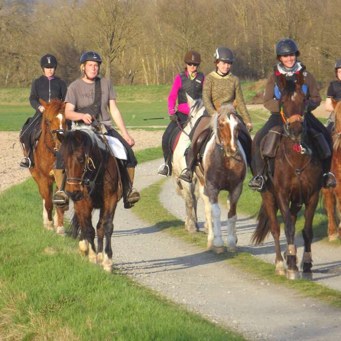 Les Chevaux de la Plaine riding stables