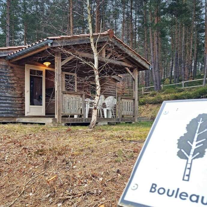 Bouleau