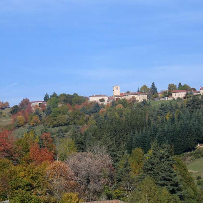 Randonnée pédestre