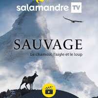 Projection du film Sauvage