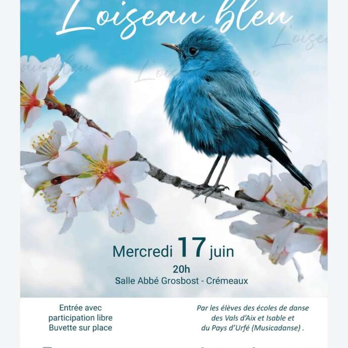 Spectacle de danse 2026 : L'oiseau bleu