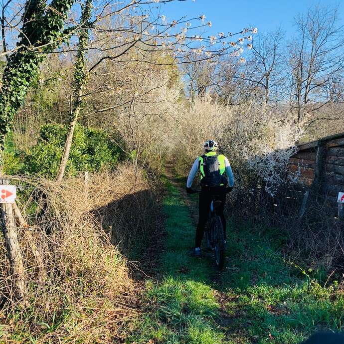 N°11 Entre Sault et Chanasson