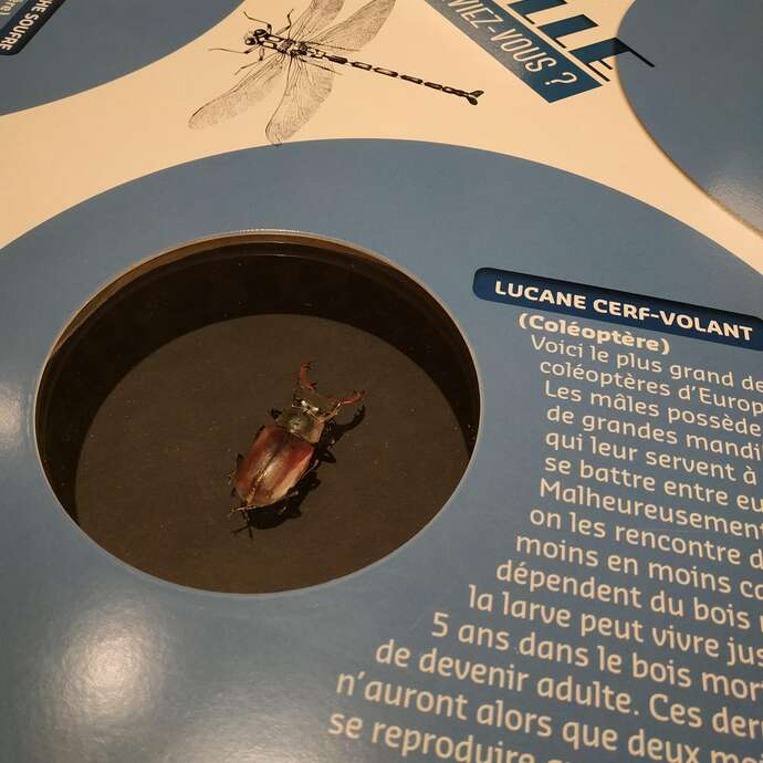 Fête de la science à l'écomusée