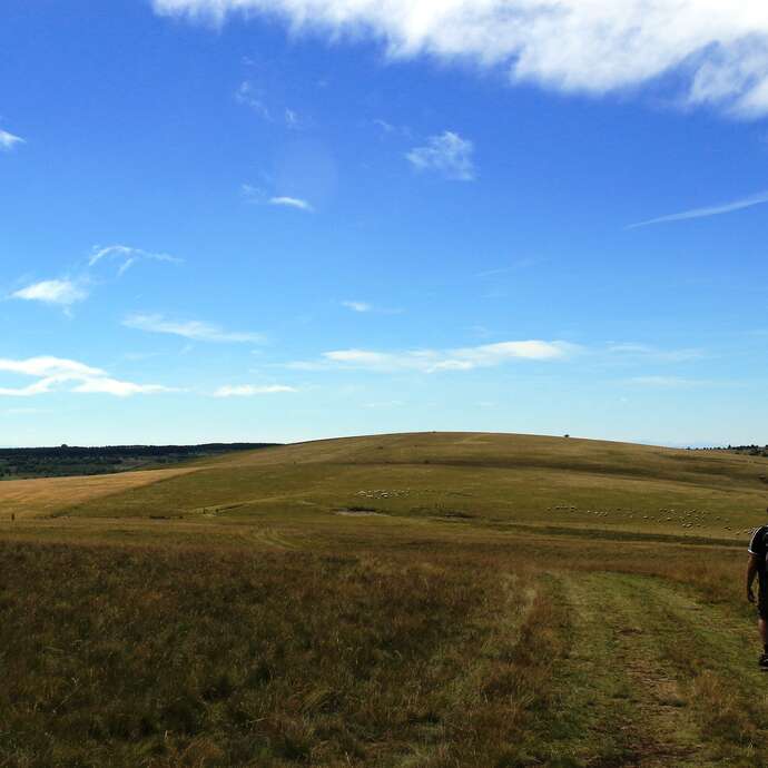 8ème Marche des Hautes Chaumes