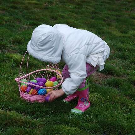 Chasses aux oeufs en Loire Forez