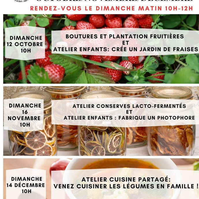 Atelier au jardin partagé