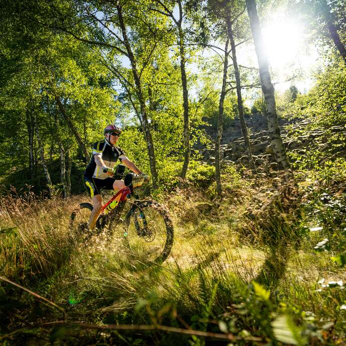 N° 14 - Le débutant - Espace VTT-FFC Massif des Bois Noirs