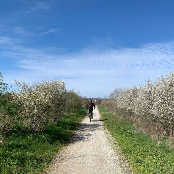N°35 La Ronde Nervirotte