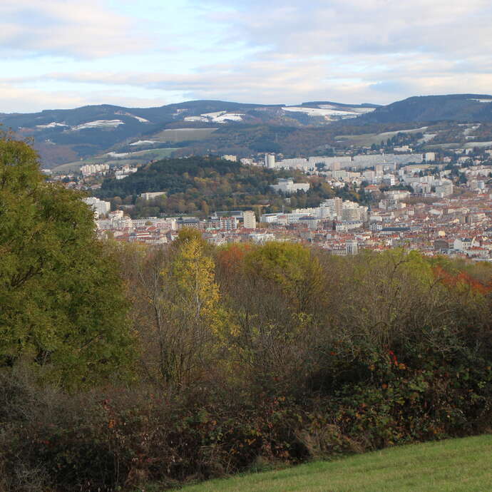 Visite Guidée - Le parc du lycée Benoit Charvet