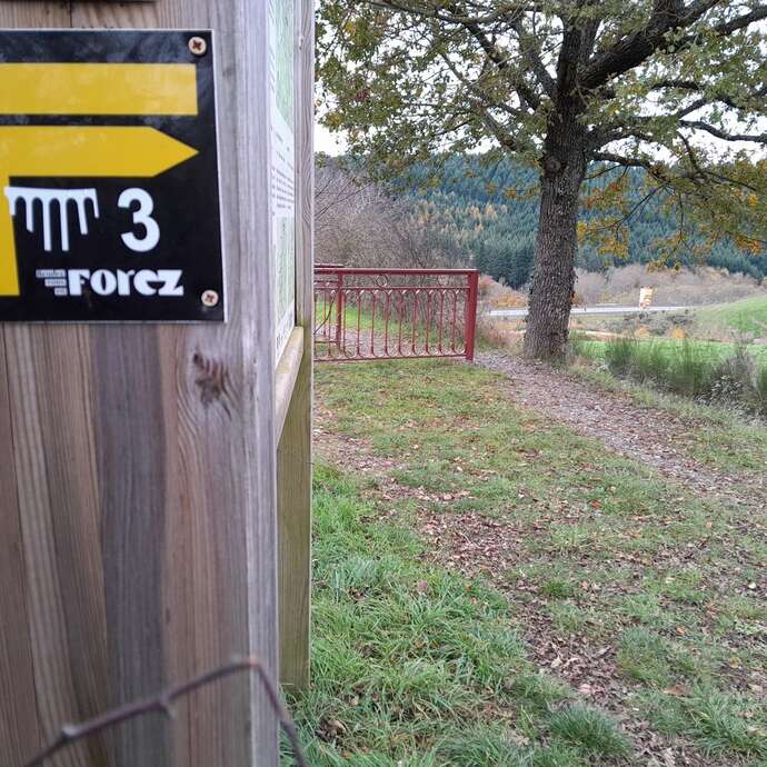 Sentier découverte du viaduc du pont marteau : les chauves-souris