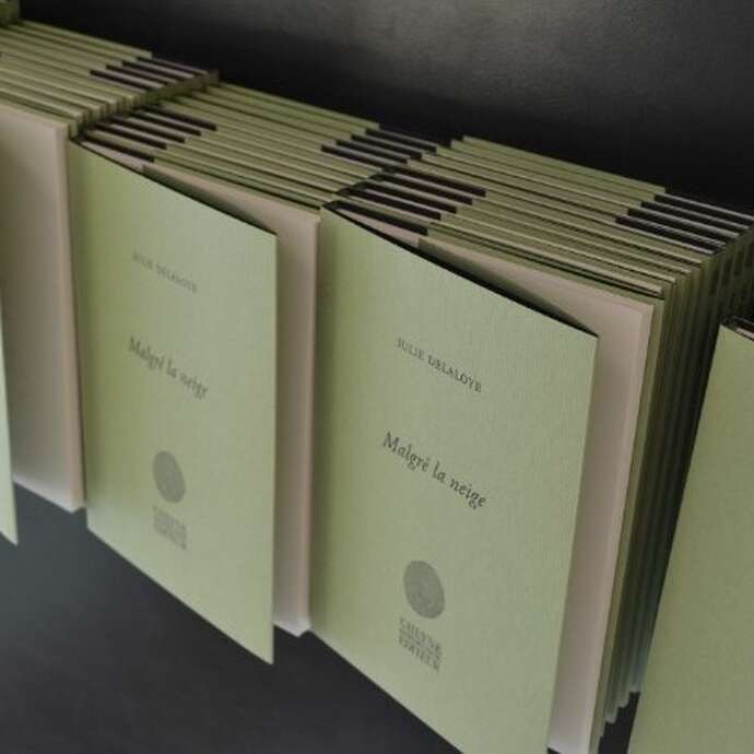 Visite de l'imprimerie de Cheyne Editeur