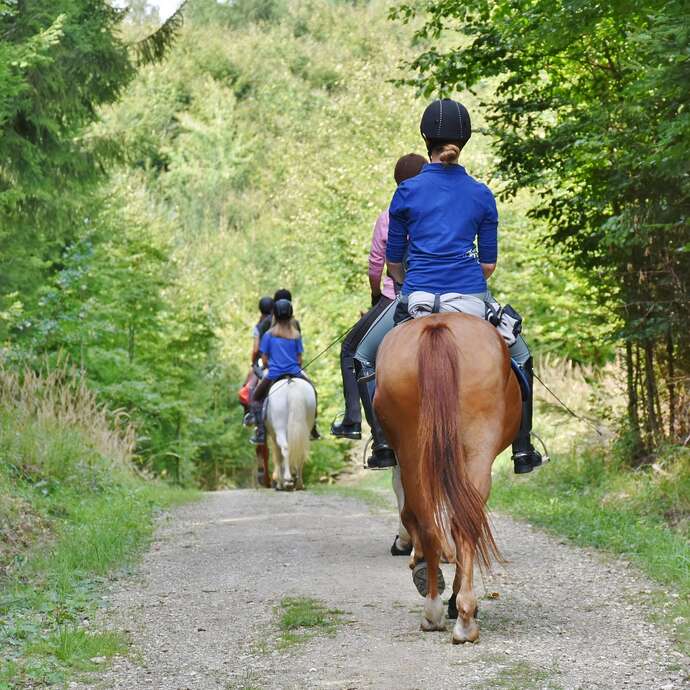 Randonnée équestre dans le Forez pour ados