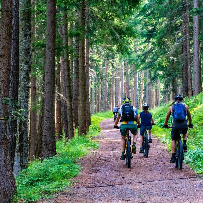 N°91 - L'escapade Forézienne - Espace VTT Montbrison-Monts du Forez