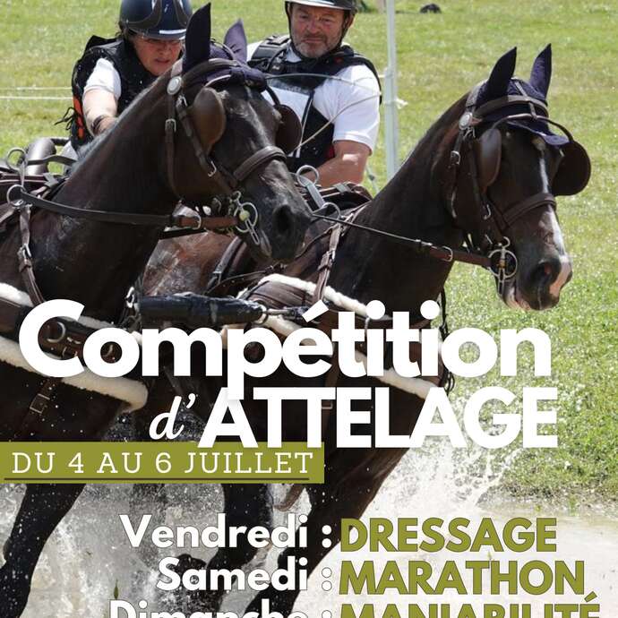 Concours d'Attelage