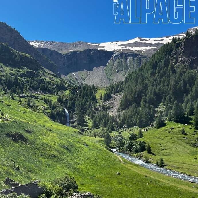 Festival de l'Alpage : Randonnée en alpage à Prapic