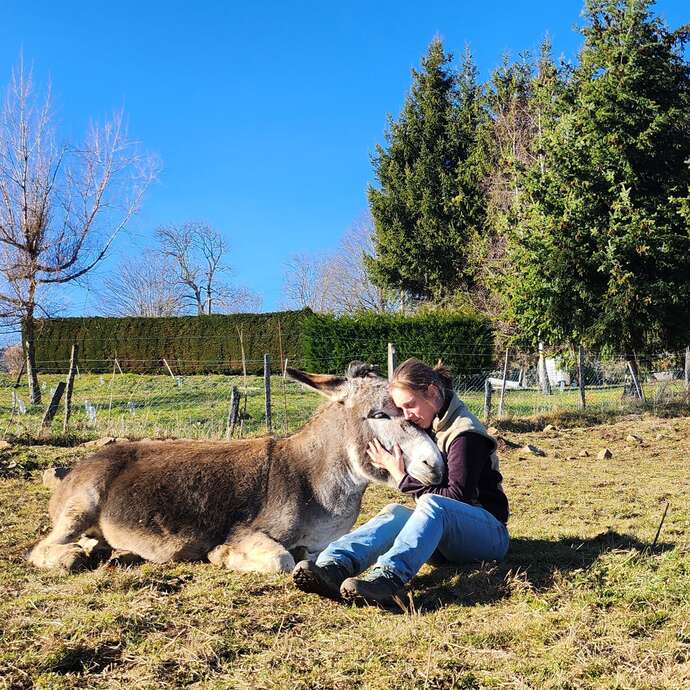 Immersion in a herd of donkeys: summer escapes