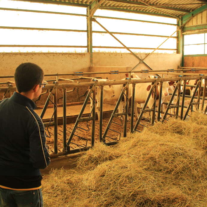 Ferme aux 4 vents - visite en famille