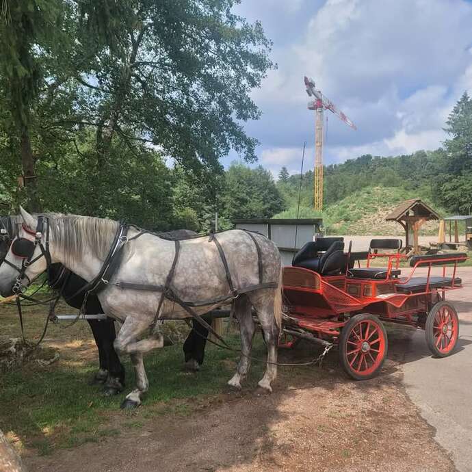 Tours de calèche