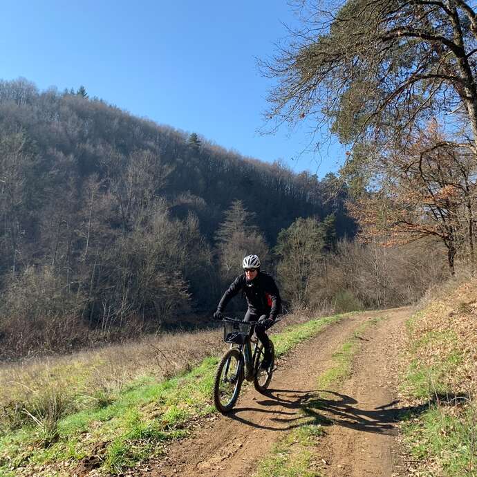 N°18 Les fleurs sauvages