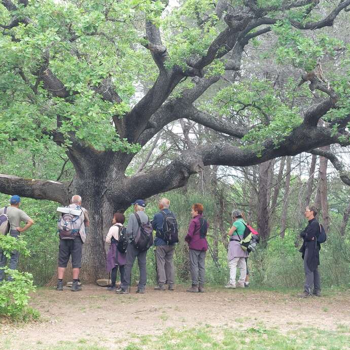 Le vallon de la Badarusse - Journée