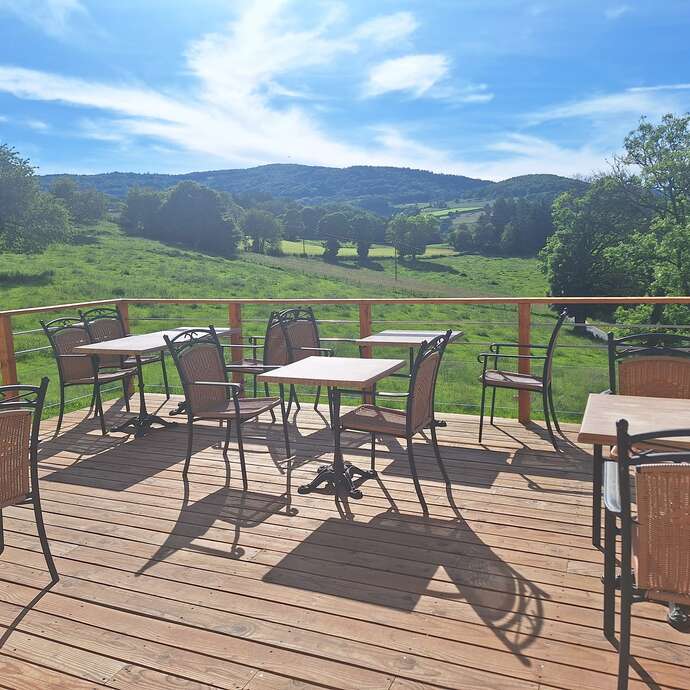 Le coin des écureuils