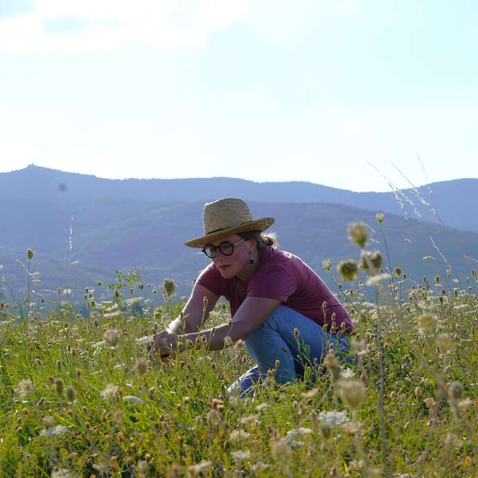 Atelier Plantes Sauvages & Apiculture