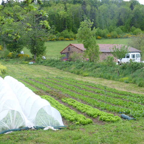 Les jardins du bois joli