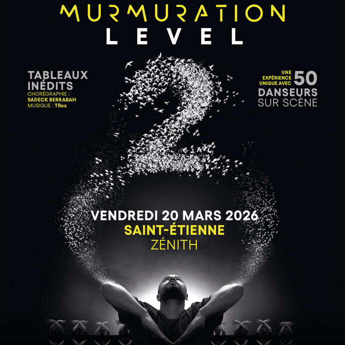 Murmuration level 2