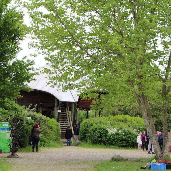 Sentier du castor - La Loire Forézienne :  Ecopôle du Forez / Feurs