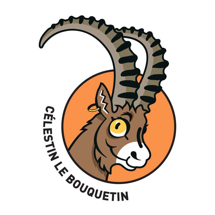 Célestin the Ibex - Villages of Val de Bagnes