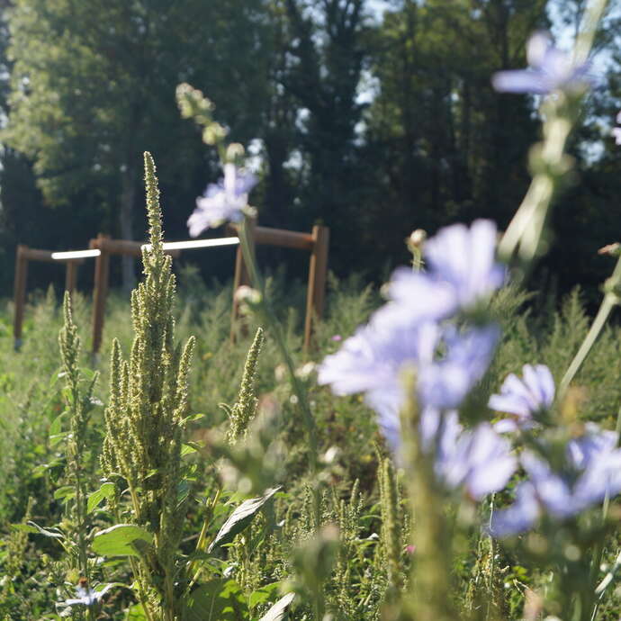 Espace de loisirs des Lonzes