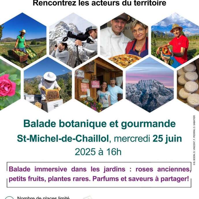 Balade botanique et gourmande