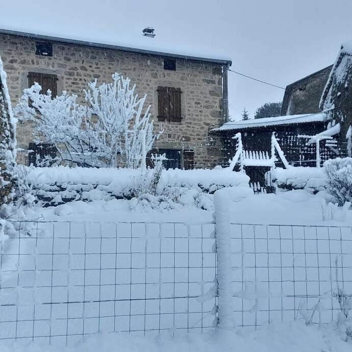 A la Lisière des Houx