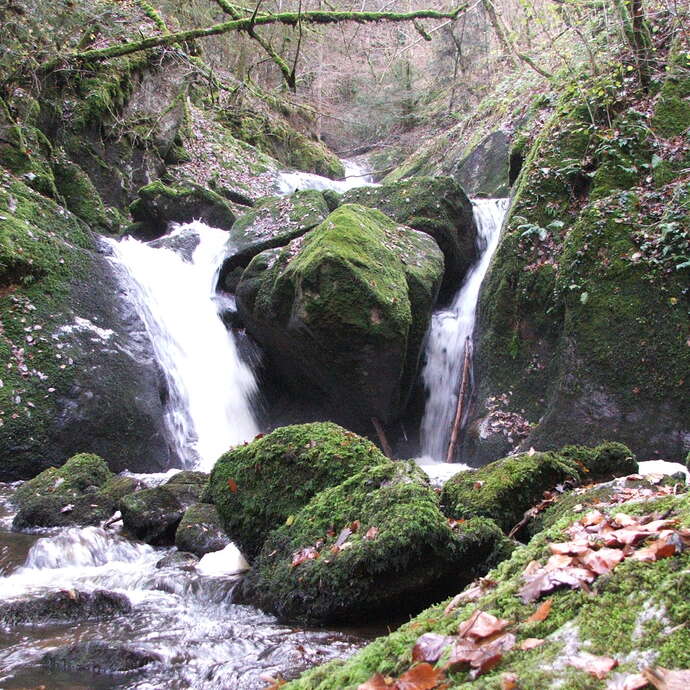 N°23 - le Bois des Côtes