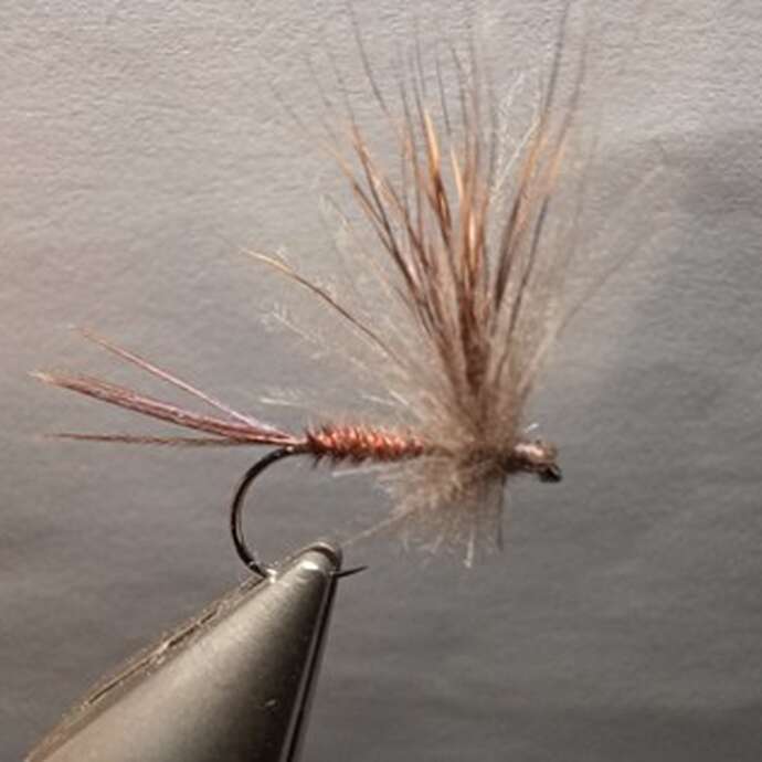 Découverte pêche à la mouche