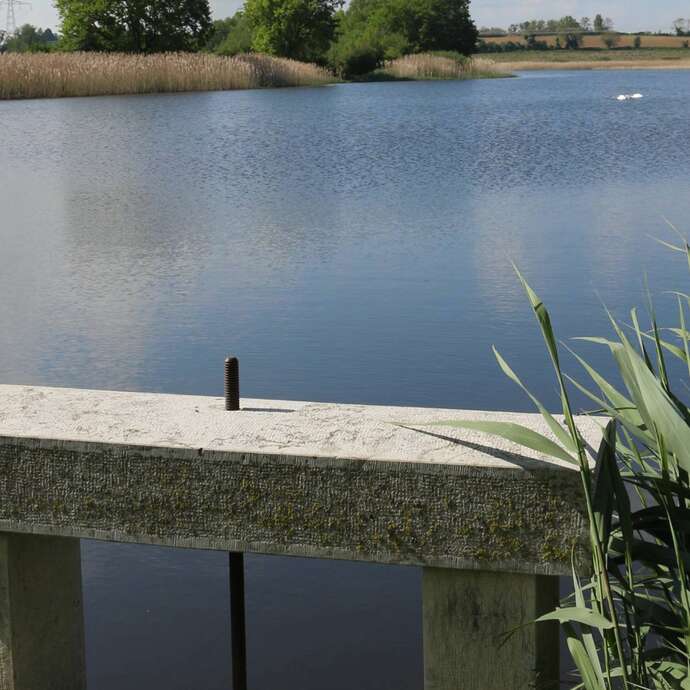 L'épopée de Physalis :  visite théâtralisée au bord d'un étang