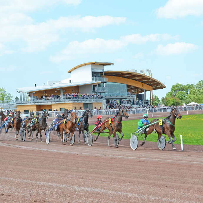 Courses à l'hippodrome