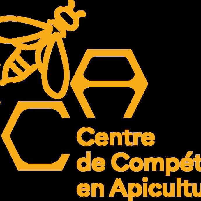 Filmvorführung "Honeyland" & Apéro convival