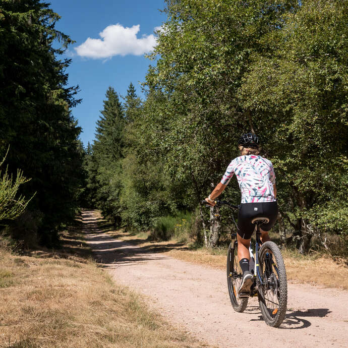 N°11 - Le Pêt d'Âne