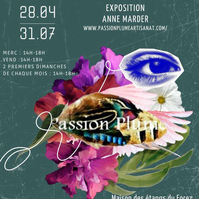 Passion Plume ! - exposition Anne Marder Passion Plume ! - exposition Anne Marder
