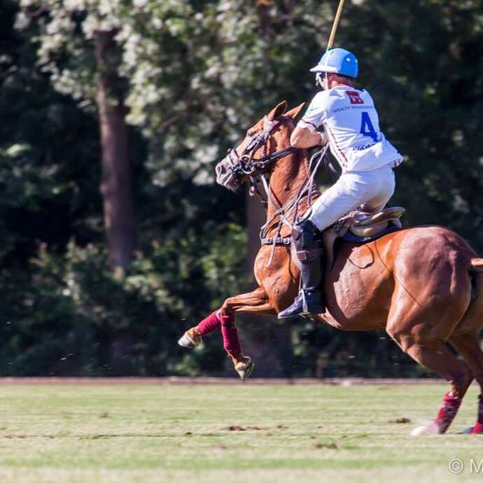 Tournois de polo saison 2026 - Haras de Gassin