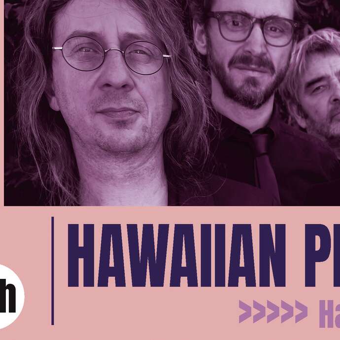 Concert Hawaiian Pistoleros - Hawaï