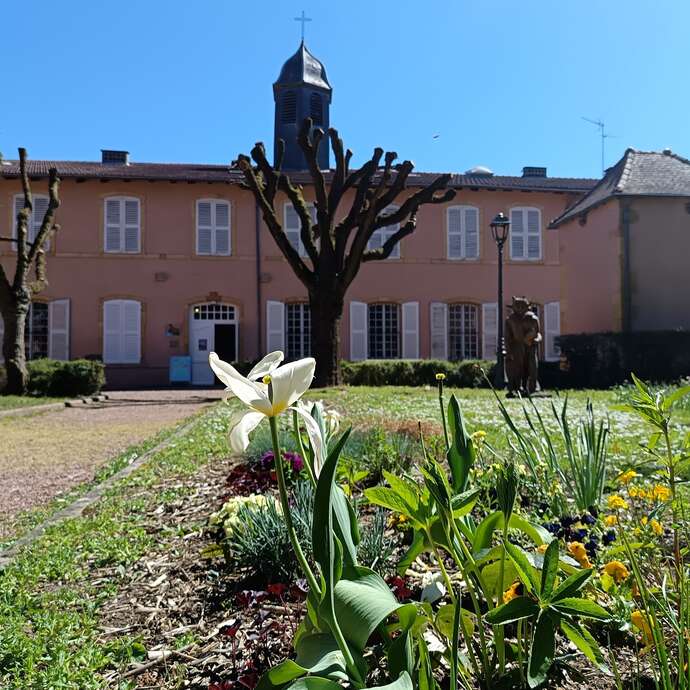 Exposition "Des cellules, des images, un curieux vivant !"