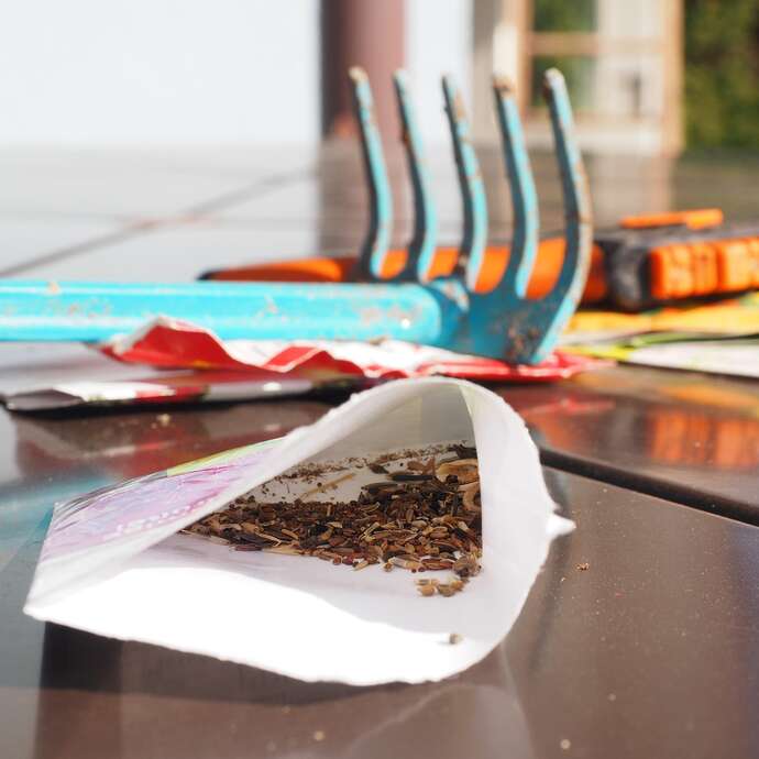 Troc de graines, de plants et de greffons