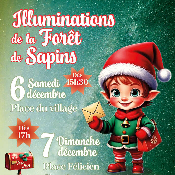 Illuminations de la forêt de sapins à Auriol